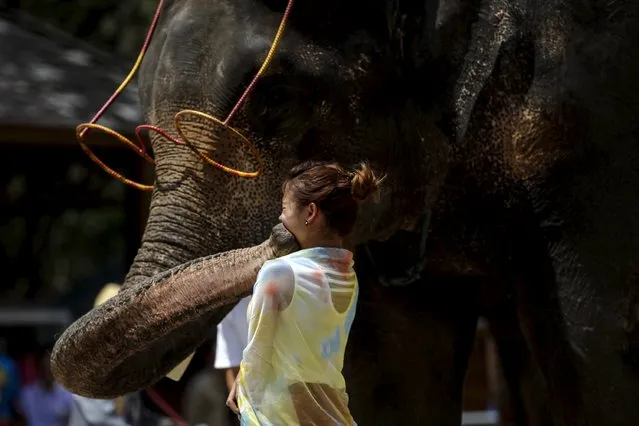 An elephant “kisses” a visitor during a show at an elephant training school in Xishuangbanna, Yunnan province, April 18, 2015. Some 16 elephants live at the school and give four 30-minute performances everyday for visitors. (Photo by Wong Campion/Reuters)