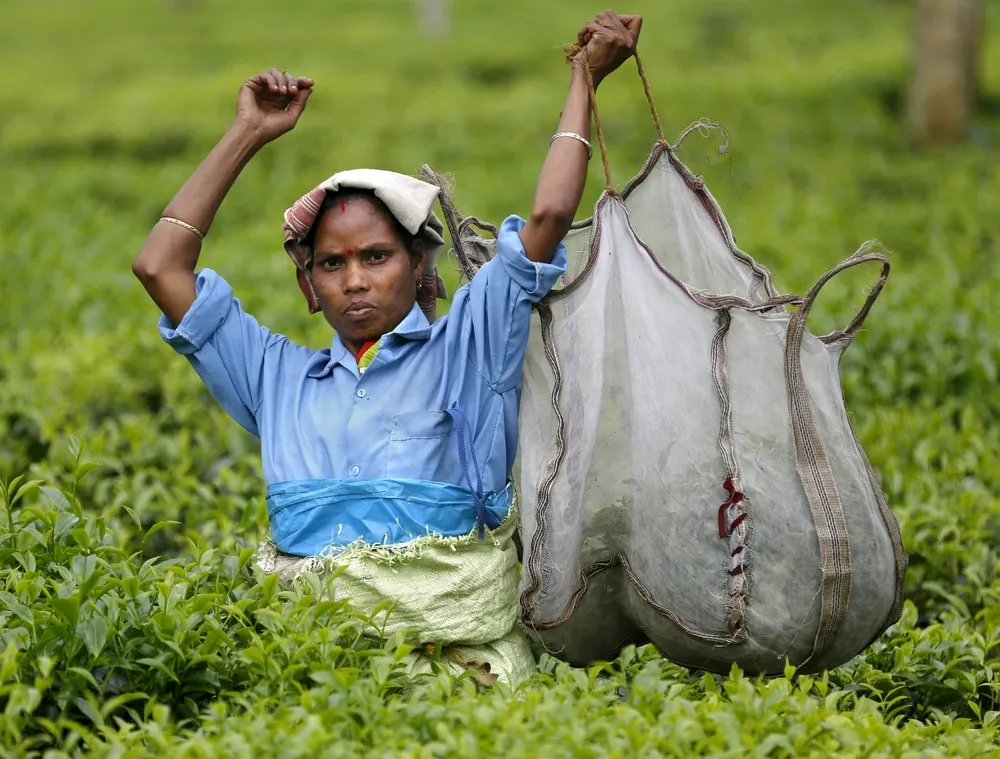Tea Tribes of Assam