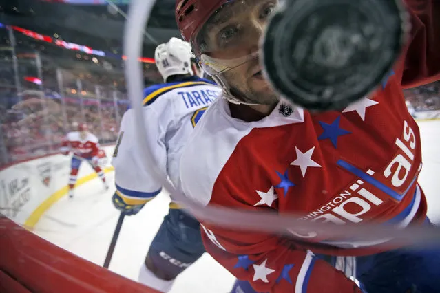 Washington Capitals left wing Alex Ovechkin, from Russia, keeps his eyes on the puck with St. Louis Blues right wing Vladimir Tarasenko (91), also from Russia, nearby in the first period of an NHL hockey game, Saturday, March 26, 2016, in Washington. (Photo by Alex Brandon/AP Photo)