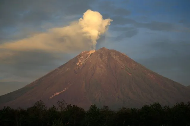Mount Semeru volcano spews volcanic ash, as seen from Candipuro district in Lumajang, East Java province, Indonesia, December 9, 2021. (Photo by Willy Kurniawan/Reuters)