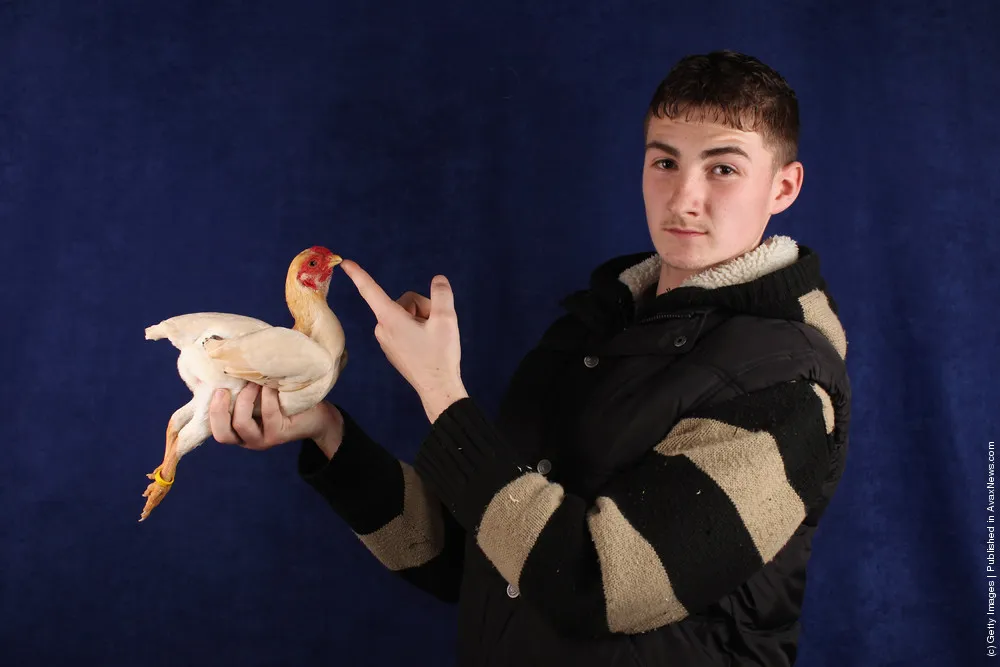 Enthusiasts Participate In The National Poultry Show