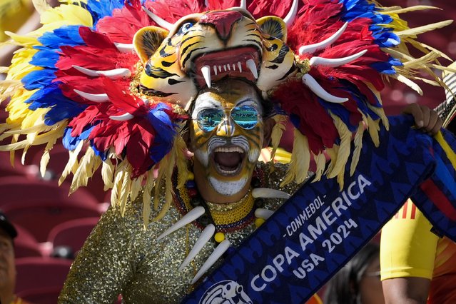 A fan for Colombia yells in the stands before a Copa America Group D soccer match against Brazil, Tuesday, July 2, 2024, in Santa Clara, Calif. (Photo by Godofredo A. Vásquez/AP Photo)