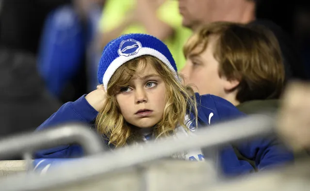 Britain Football Soccer, Brighton & Hove Albion vs Sheffield Wednesday, Sky Bet Football League Championship Play-Off Semi Final Second Leg, The American Express Community Stadium on May 16, 2016. Brighton fan looks dejected. (Photo by Adam Holt/Reuters/Action Images/Livepic)