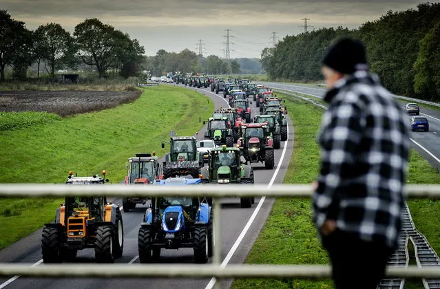 Dutch farmers protest with their tractors on their way to the the provincial government office of Drenthe in Assen, The Netherlands, 14 October 2019. The representative of Agricultural and Horticultural Organisation (LTO) called for action and demanded a suspension of the nitrogen policy rules. (Photo by Robin van Lonkhuijsen/EPA)