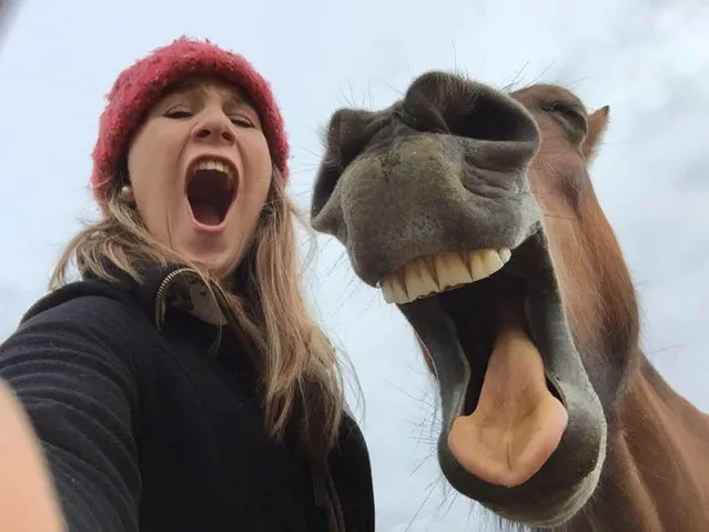 Georgie Bain takes a selfie with her horse in “Best Friends” in Aberdeen, United Kingdom, Date Unknown. (Photo by Georgie Bain/Barcroft Images/Comedy Pet Photography Awards)