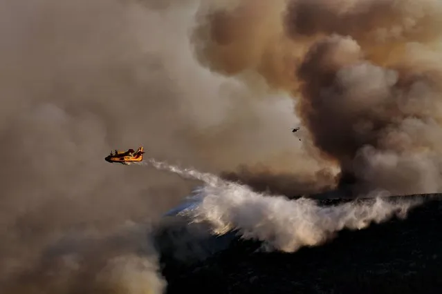 A Canadair firefighting airplane drops water above a fire at sunset, east of Athens on August 15, 2017. The army was called in to assist firefighters around Kalamos, 45 kilometres (30 miles) east of Athens, where a fire has been burning since August 13. In all, 146 fires have broken out across Greece since then according to authorities. (Photo by Aris Messinis/AFP Photo)