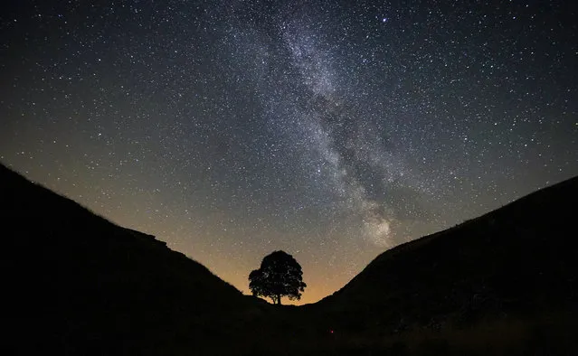 A photographer lines up a shot on a clear night under the Milky Way at Sycamore Gap on Hadrians Wall in Northumberland, England on August 25, 2019, made famous for its part in the 1991 Kevin Costner film Robin Hood Prince of Thieves. (Photo by Owen Humphreys/PA Images via Getty Images)