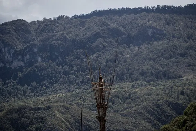 A Papuanese tribal boy stands on the top of a tower during the 25th Baliem Valley festival on August 7, 2014 in Wamena, Indonesia. The Baliem Valley Cultural Festival has been organized annually in the Baliem Valley, home to three Papua interior tribes: the Dani, Lani and Yali tribes. (Photo by Agung Parameswara/Getty Images)