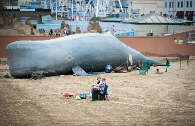 People sit in front of the 50ft (15m) inflatable whale that has been erected on the beach by the Bible Society on August 27, 2014 in Weston-Super-Mare, England. The Bible Society is using the whale to allow the Circo Rum Ba Ba circus troupe to perform the Biblical story of Jonah and the Whale. The whale was brought to Weston after it was banned from London's Hyde Park for being too “religious”. (Photo by Matt Cardy/Getty Images)