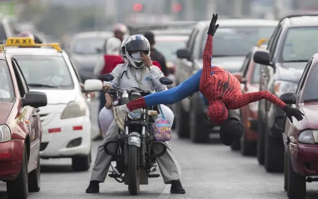 Street artist Steven Garmendia dressed as Spiderman is seen performing on an avenue in Managua, Nicaragua, 09 May 2020. Street artist Steven Garmendia usually perform at the streets on weekdays at traffic lights in Managua to support his family financially but the COVID-19 pandemic prevents him from being consistent in his feat of “carrying the bread to the house”. Nicaragua has more than 1.5 million underemployed. (Photo by Jorge Torres/EPA/EFE)