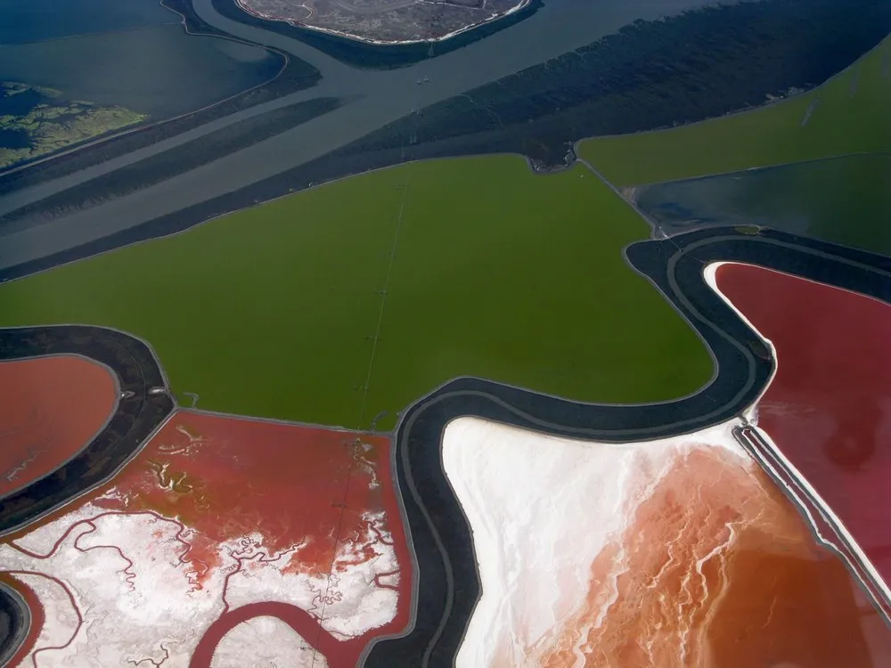 Salt Ponds in San Francisco Bay