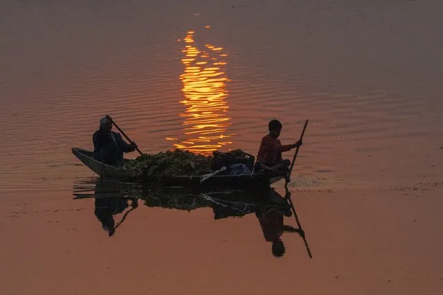 Kashmiris row their Shikara, a traditional boat, filled with weeds and lotus leaves for cattle as the sun sets over the Dal Lake, on the outskirts of Srinagar, Indian controlled Kashmir, Friday, October 28, 2022. (Photo by Dar Yasin/AP Photo)