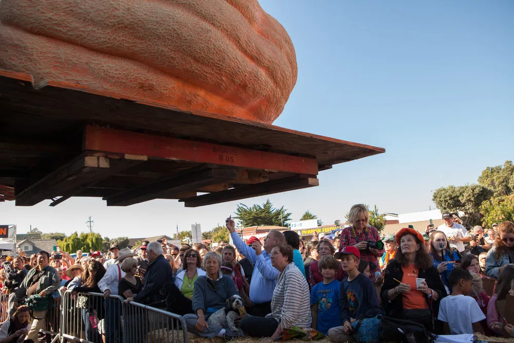 California Pumpkin Contest Winners