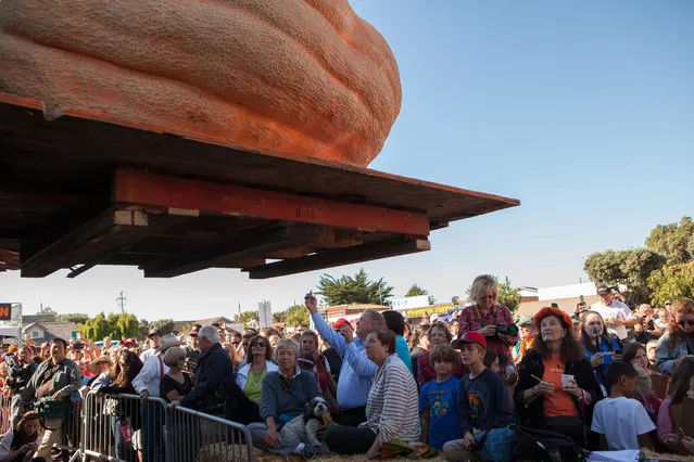 Entrants in the prettiest pumpkin category are lifted into the air for the crowd at the 41st Annual Safeway World Championship Pumpkin Weigh-Off in Half Moon Bay, Calif., Monday, October 13, 2014. Later in the day a 2,058 lb. pumpkin grown by John Hawkley took first place and set a new North American record. (Photo by Alex Washburn/AP Photo)
