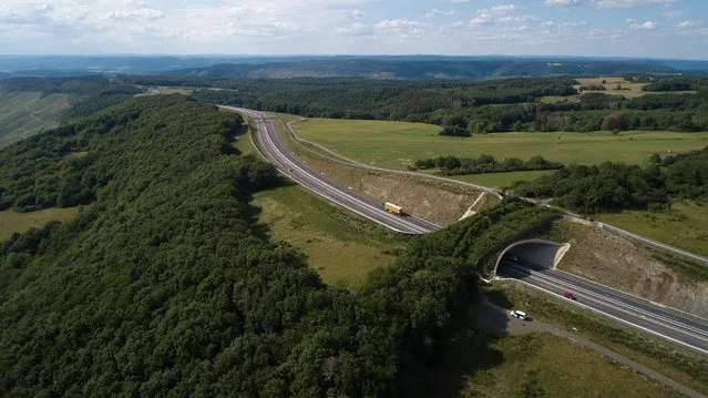 A green bridge crosses the B50 near Longkamp in Rhineland-Palatinate, Germany on June 12, 2020. The state in the west of the country has 15 such bridges, two landscape tunnels and nine underpasses for wildlife in order to network habitats. (Photo by Thomas Frey/dpa)