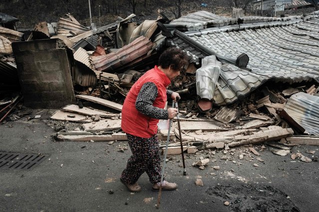 An 81-year-old apple farmer who lost her crop walks with sticks past her neighbours' homes, burned by a wildfire two days ago, in Andong on March 27, 2025. Wildfires in South Korea are now the largest and deadliest on record, having burned more forest and killed more people than any previous blaze, officials said on March 27, as the death toll hit 27. (Photo by Yasuyoshi Chiba/AFP Photo)