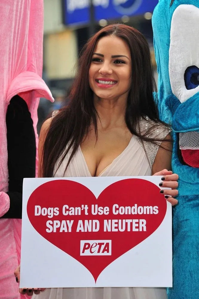PETA & Lacey Banghard Call for Cat & Dog Birth Control