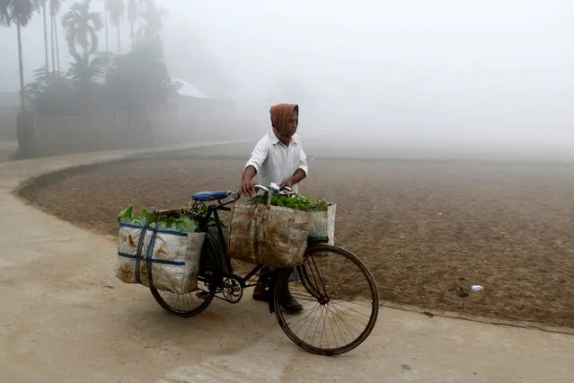A man transports vegetables on a bicycle during a foggy winter morning in Agartala, India, January 8, 2018. (Photo by Jayanta Dey/Reuters)