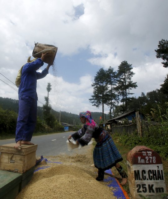 Farmers from the Hmong ethnic tribe pour rice into the wind to separate low quality grains during harvest season in Mu Cang Chai, northwest of Hanoi, October 4, 2015. (Photo by Reuters/Kham)