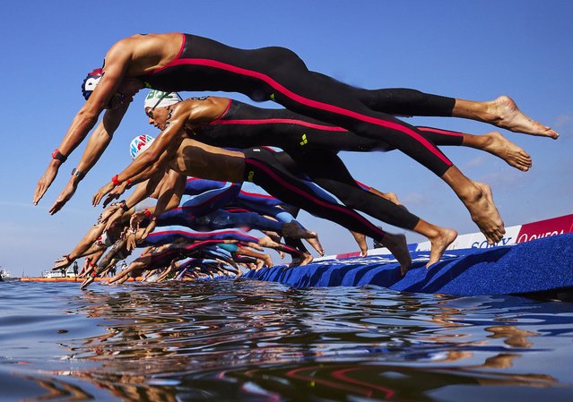 Marc-Antoine Olivier of Team France dives into the water for the start of the Men's 5km Open Water Final on day eight of the Singapore 2025 World Aquatics Championships at The Palawan @ Sentosa on July 18, 2025 in Singapore. (Photo by Adam Pretty/Getty Images)