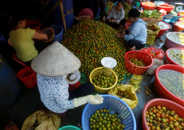 Sellers sort persimmons for sale at a wholesale market in Hanoi, Vietnam October 3, 2016. (Photo by Reuters/Kham)
