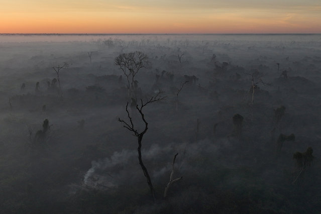 A drone view shows a smoke from a fire rising into the air as trees burn amongst vegetation in the Pantanal, the world's largest wetland, in Corumba, Mato Grosso do Sul state, Brazil, on June 11, 2024. (Photo by Ueslei Marcelino/Reuters)