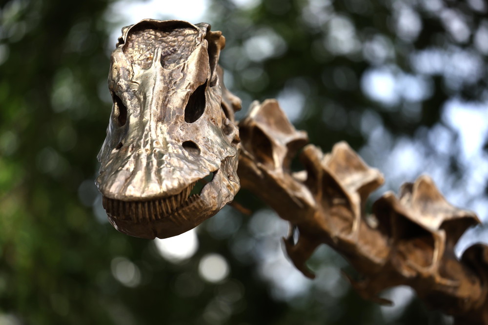 Pictures of the Year 2024, Part 147/240