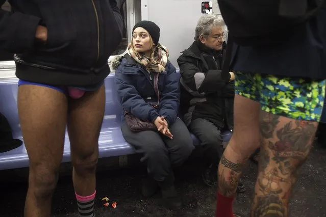 Participants taking part in the “No Pants Subway Ride” stand near a woman, who later took off her pants as part of the event, in the Manhattan borough of New York January 11, 2015. (Photo by Carlo Allegri/Reuters)