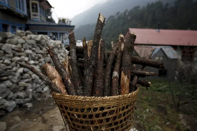 A woman carrying firewood heads toward her home during an ongoing fuel and cooking gas shortage in Solukhumbu district, also known as the Everest region, in this picture taken November 28, 2015. (Photo by Navesh Chitrakar/Reuters)