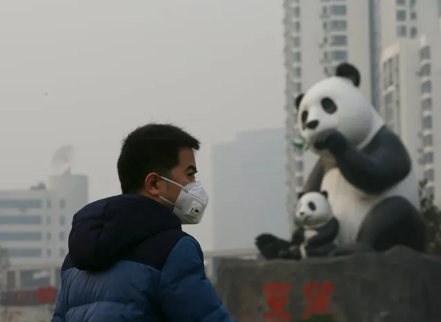 A man wearing a protective mask walks past statues of pandas on the second day after China's capital Beijing issued its second ever “red alert” for air pollution, in Beijing, China, December 20, 2015. (Photo by Kim Kyung-Hoon/Reuters)