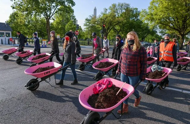 Extinction Rebellion DC carries pink wheel barrows full of cow manure to dump outside the White House on Earth Day to protest President Biden's climate plan in Washington, U.S., April 22, 2021. (Photo by Evelyn Hockstein/Reuters)