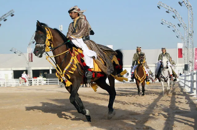 Men ride horses during a traditional festival as part of celebrations ahead of Qatar's National Day, in Doha, Qatar December 8, 2016. (Photo by Naseem Zeitoon/Reuters)