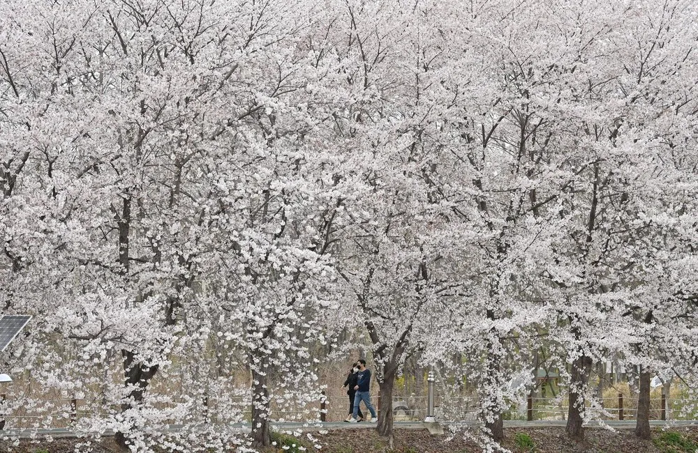 People in the Landscape