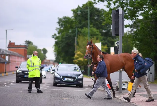 A runner crosses the road outside of the course ahead of the Chesham Stakes on Day Five of the Royal Ascot Meeting at Ascot Racecourse on June 19, 2021 in Ascot, England. A total of twelve thousand racegoers made up of Owners and the Public are permitted to attend the meeting due to it being an Events Research Programme (ERP) set up by the government due to the Coronavirus Pandemic. (Photo by Harry Trump/Getty Images)