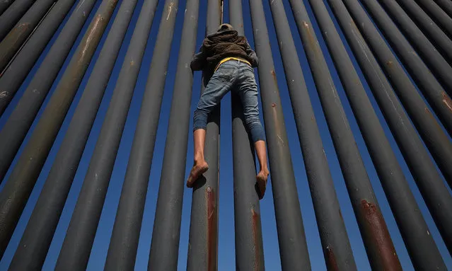 A migrant, part of a caravan of thousands from Central America trying to reach the United States, climbs the border fence between Mexico and the United States, in Tijuana, Mexico, November 18, 2018. (Photo by Hannah McKay/Reuters)