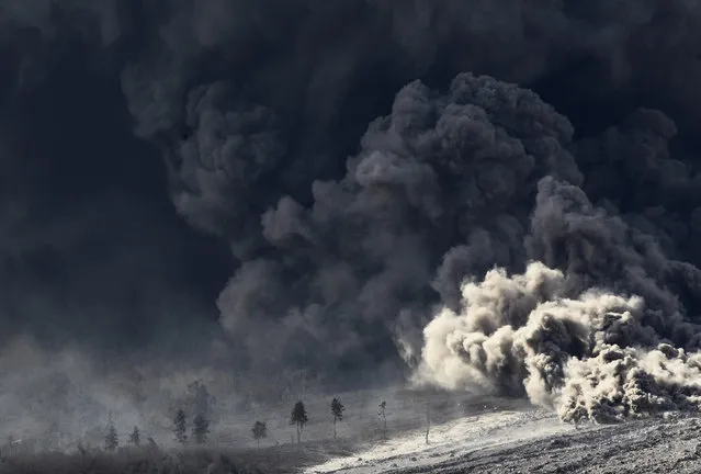 Hot lava from Mount Sinabung volcano hits trees as seen from Berastepu village in Karo district, January 8, 2014. (Photo by Reuters/Beawiharta)