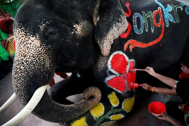 Mahouts paint an elephant ahead of celebrations for the water festival of Songkran in Ayutthaya, Thailand on April 11, 2019. (Photo by Soe Zeya Tun/Reuters)