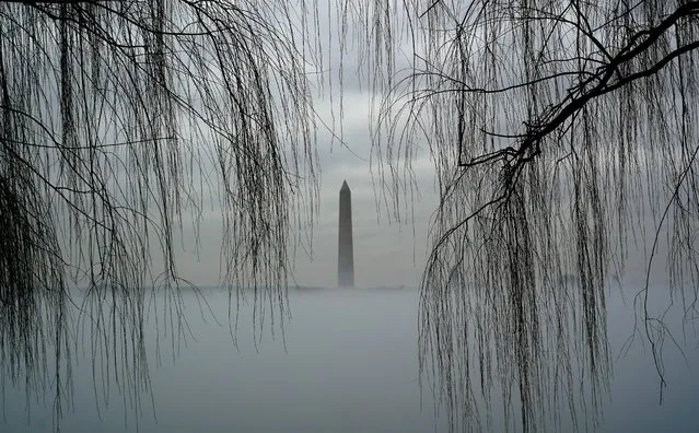 The Washington Monument rises above fog blanketing the Potomac River on an unseasonably warm day in Washington, U.S., January 25, 2024. (Photo by Kevin Lamarque/Reuters)