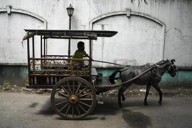 A worker looks for customers in his horse-driven cart at the walled-city of Intramuros in Manila, Philippines as some tourist spots reopen to the public with health restrictions on Thursday, September 16, 2021. The government starts the pilot run of granular or more localized lockdowns starting today in the capital as they try to open up the economy while controlling the surge of COVID-19 infections. (Photo by Aaron Favila/AP Photo)