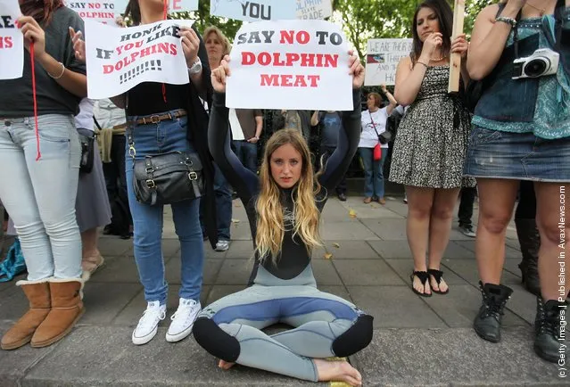 Protesters demonstrate outside the Japanese embassy against Japan's hunting of sea mammals in London, England