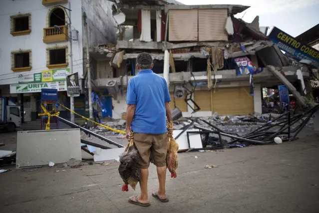Chicken vendor German Fuentes pauses to look at earthquake damage in the business district as he works selling his birds in Manta, Ecuador, Tuesday, April 19, 2016. The strongest earthquake to hit Ecuador in decades flattened buildings and buckled highways along its Pacific coast, sending the Andean nation into a state of emergency. (Photo by Rodrigo Abd/AP Photo)