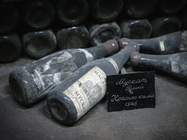 Vintage wine bottles dated from 1946 lay down in the wine cellar of the Massandra winery near Yalta. Yalta is a resort city on the north coast of the Black Sea in the Autonomous Republic of Crimea, a territory recognized by a majority of countries as part of Ukraine and incorporated by Russia as the Republic of Crimea. (Photo by Sergei Ilnitsky/EPA)