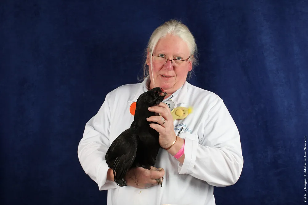 Enthusiasts Participate In The National Poultry Show