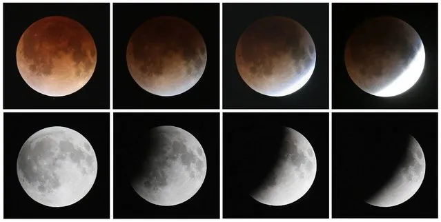 This composite image shows a sequence, from bottom left to top left, of the moon's transition during a total lunar eclipse on April 15, 2014 in Miami, Florida. People in most of north and south America should be able to witness this year's first total lunar eclipse, which will cause a “blood moon” and is the first of four in a rare Tetrad of eclipses over the next two years. (Photo by Joe Raedle/Getty Images)