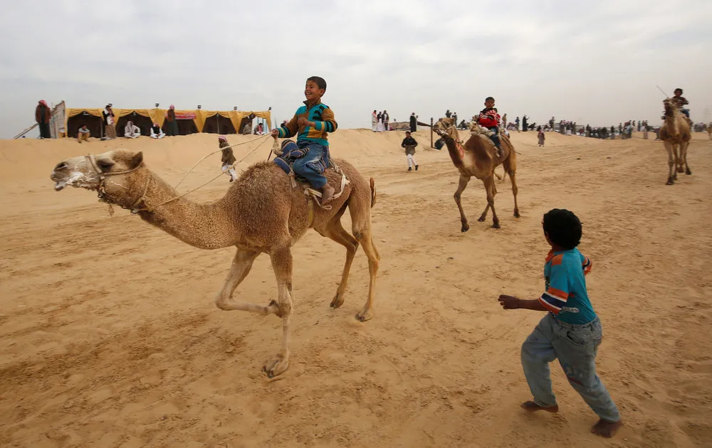 Child Jockeys of Camel Racing