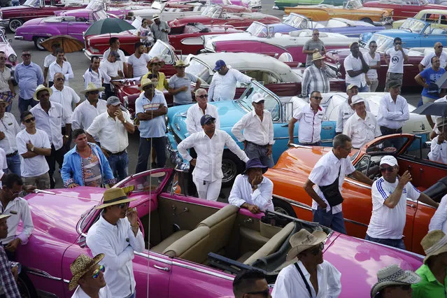 Drivers of vintage American cars receive their final instructions on how to bring in the fashion models that will take part in the upcoming Chanel fashion show, at the parking lot of the Hotel Nacional, in Havana, Cuba, Tuesday, May 3, 2016. (Photo by Ramon Espinosa/AP Photo)