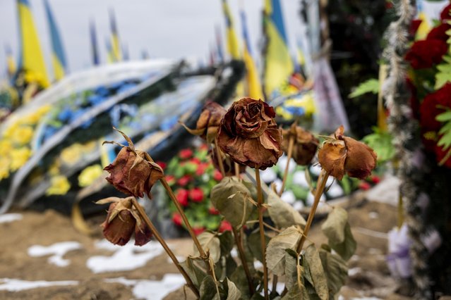 Dead roses stand atop a grave in the military section of a cemetery on February 11, 2023 in Kharkiv, Ukraine. Meanwhile Russia has launched a new winter offensive in the Donbas region in eastern Ukraine. (Photo by John Moore/Getty Images)