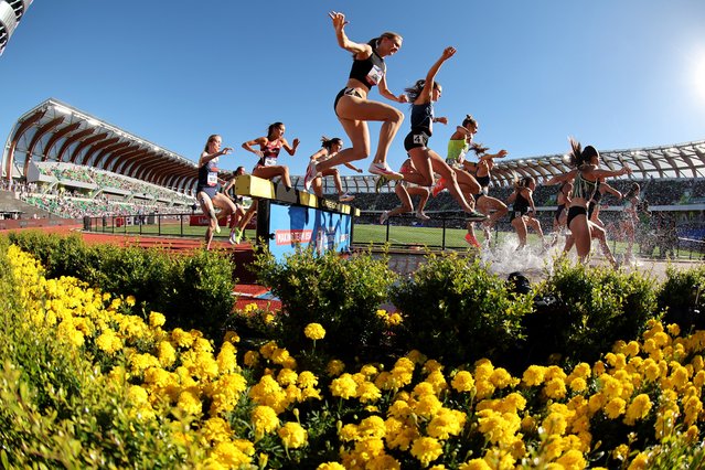 Athletes leap over the water jump as they compete in the first round of the women's 3000 meter steeplechase on Day Four of the 2024 U.S. Olympic Team Track & Field Trials at Hayward Field on June 24, 2024 in Eugene, Oregon. (Photo by Christian Petersen/Getty Images)