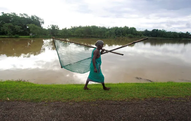 A woman carries a fishing net as she arrives to catch fish in a flooded paddy field after heavy rains on the outskirts of Agartala, India May 22, 2016. (Photo by Jayanta Dey/Reuters)