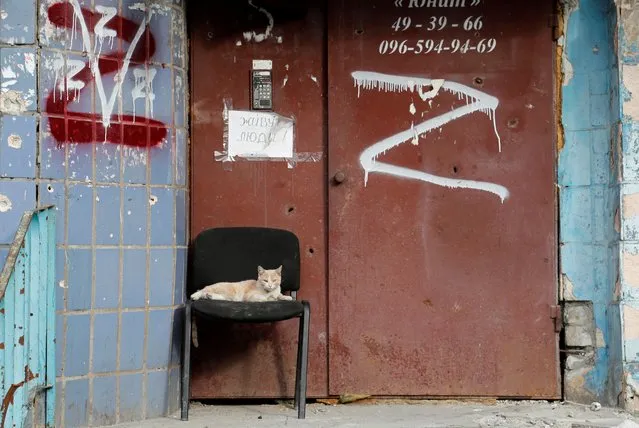 A cat lies on a chair at the entrance to an apartment building during Ukraine-Russia conflict in the southern port city of Mariupol, Ukraine on May 2, 2022. The note on the door reads “People live here”. (Photo by Alexander Ermochenko/Reuters)